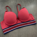 Sutiã Elástico Tricolor Exposto