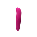 Vibrador Golfinho Ponto G Recarregável 10 Modos de Vibração – GOOD VIBES
