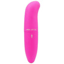 Vibrador Golfinho Ponto G Recarregável 10 Modos de Vibração – GOOD VIBES